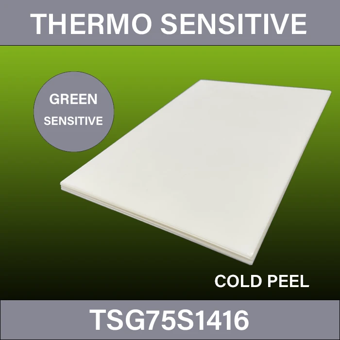 Green Gradient DTF Transfer Sheet